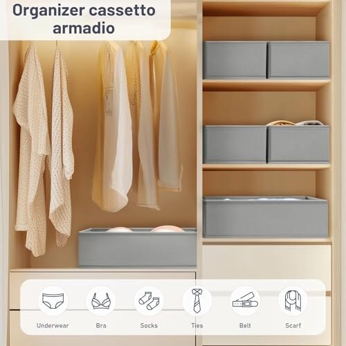 DIMJ Organizer Cassetti 8 Pezzi Pieghevoli - immagine 2