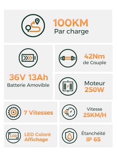 HillMiles Bici Elettrica 26" 7 Velocità - immagine 1