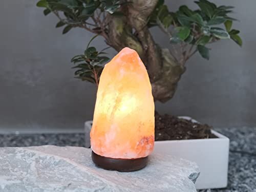 Lampada di Sale BEPER con Intensità Regolabile - immagine 5
