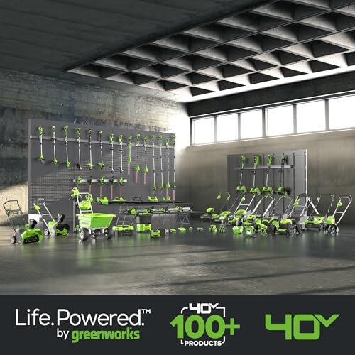 Motosega a Batteria Greenworks 12" Auto-Lubrificante - immagine 8