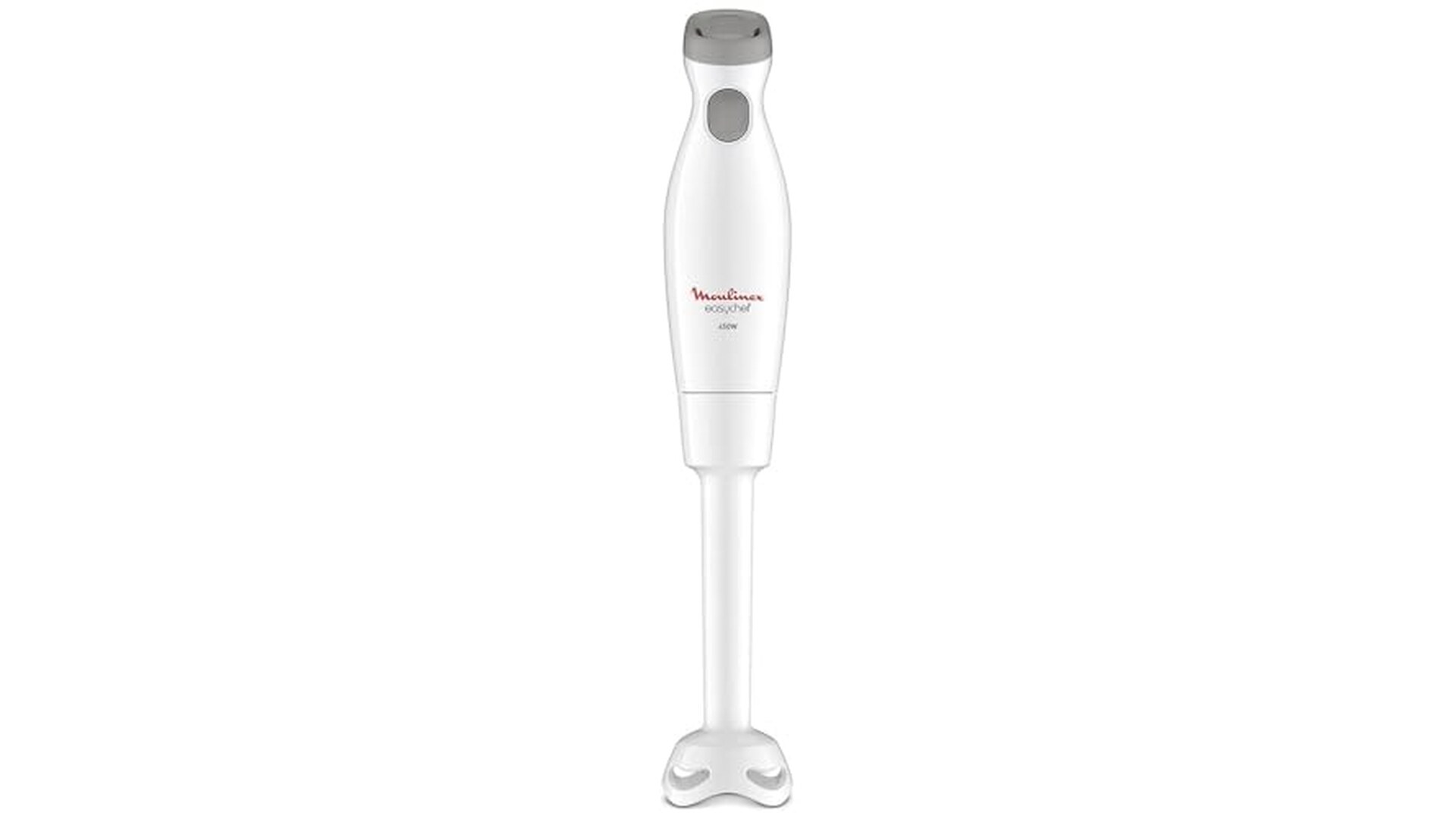 Moulinex Easychef Frullatore a Immersione 450W