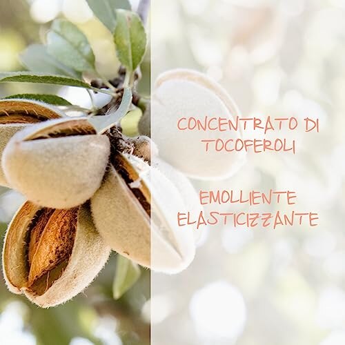 Omia Maschera Capelli Eco Bio Mandorla di Sicilia - immagine 2
