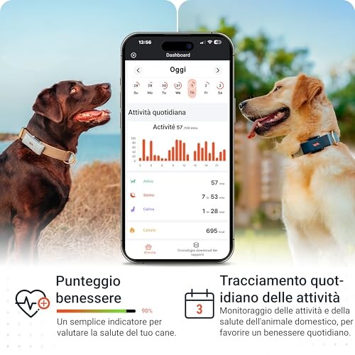 PAJ Tracker GPS per Cani 4G con Allarmi di Fuga - immagine 3