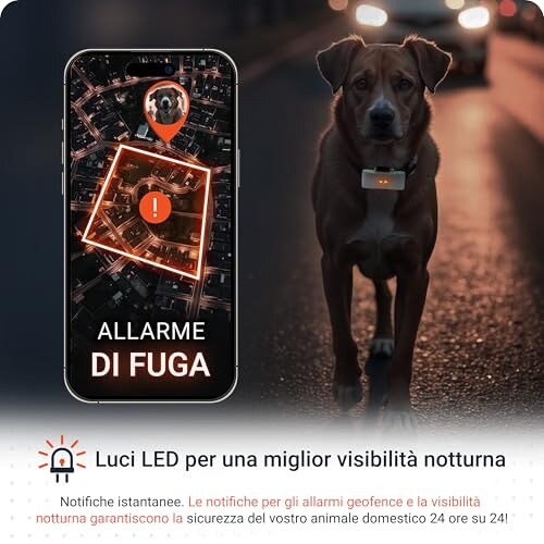 PAJ Tracker GPS per Cani 4G con Allarmi di Fuga - immagine 5