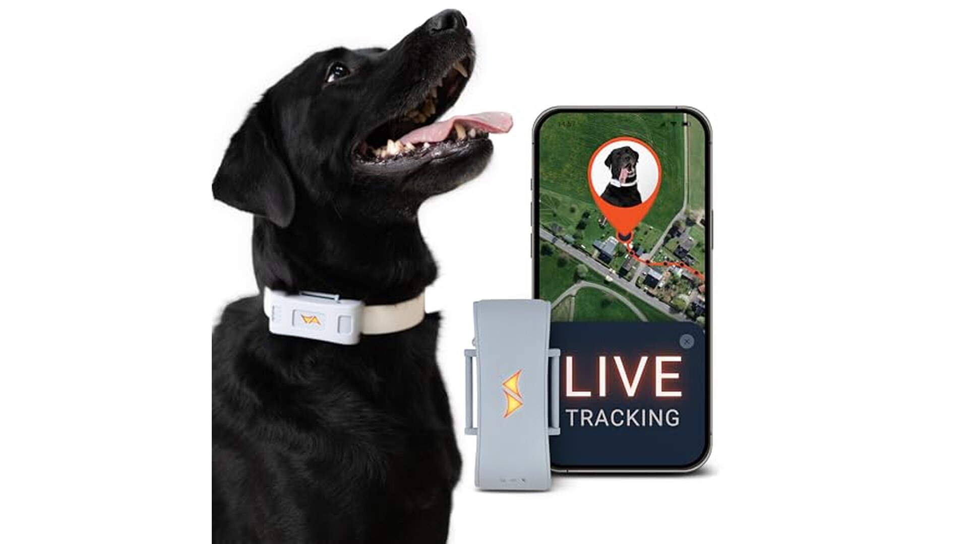 PAJ Tracker GPS per Cani 4G con Allarmi di Fuga