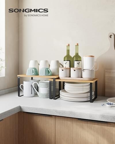 Set di 2 Scaffali Portaspezie Espandibili - immagine 1