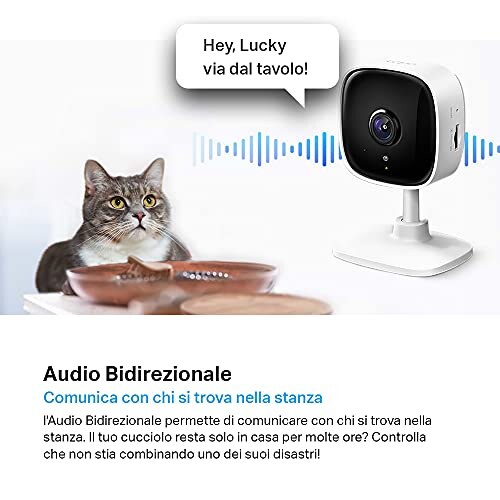 Tapo C100 Telecamera Wi-Fi FHD - immagine 6
