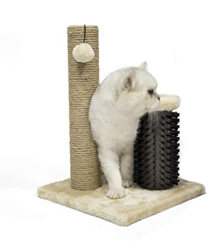 Tiragraffi per Gatti da Interno Amazon Basics - immagine 1