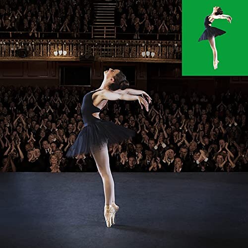 Vevelux Sfondo Fotografico Verde 3x3m con Clip - immagine 6