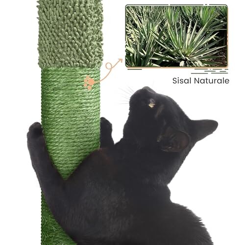 Yaheetech Albero Tiragraffi Cactus 106,5cm - immagine 6