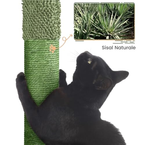 Yaheetech Albero Tiragraffi Cactus 106,5cm - immagine 8