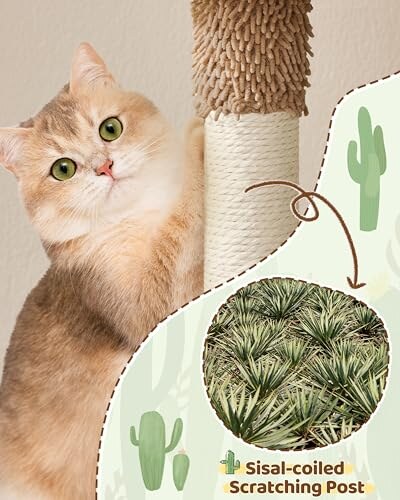 Yaheetech Albero Tiragraffi Cactus 106,5cm - immagine 6
