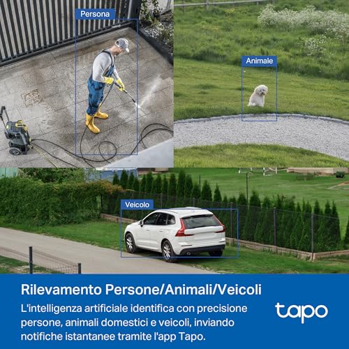 Tapo C530WS Telecamera Wi-Fi Esterno - immagine 7