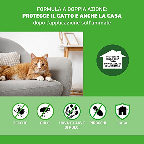 FRONTLINE Combo 6 Pipette per Gatti e Furetti - immagine 2