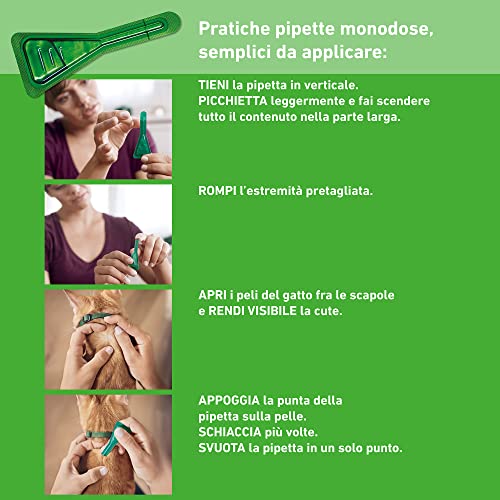 FRONTLINE Combo 6 Pipette per Gatti e Furetti - immagine 3