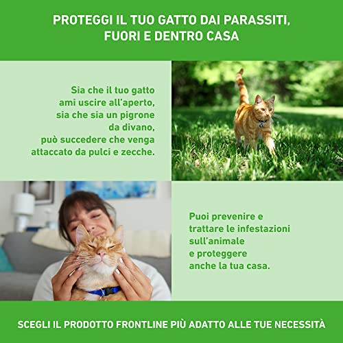 FRONTLINE Combo 6 Pipette per Gatti e Furetti - immagine 5