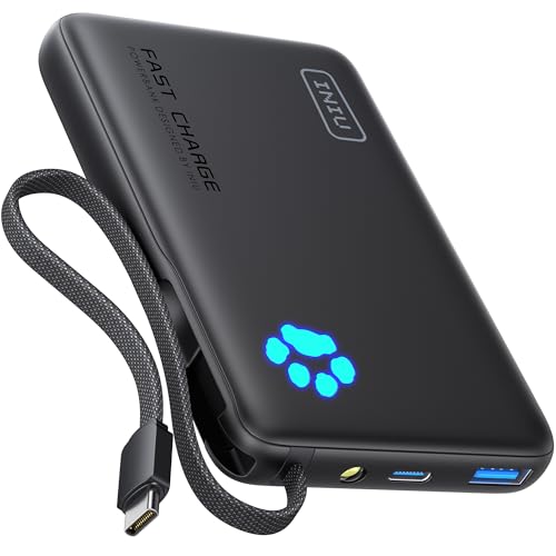 INIU 45W Power Bank 10000mAh con USB C Integrato