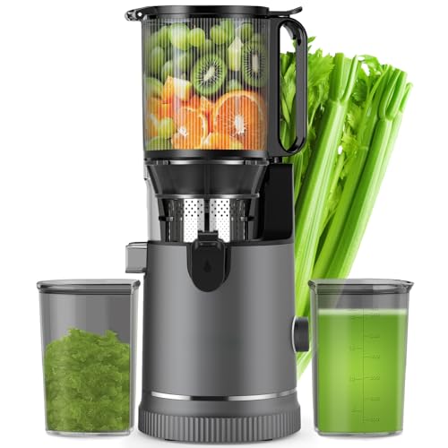 Estrattore di Succo Slow Juicer 400W